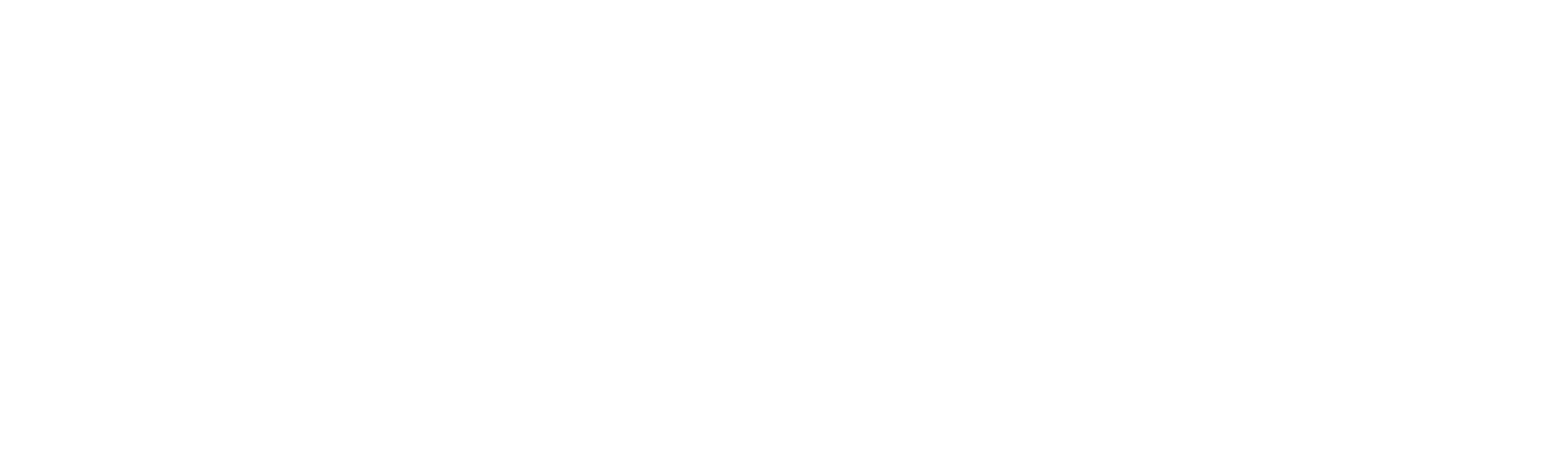 Varsinais-Suomen Nuoret Kotkat